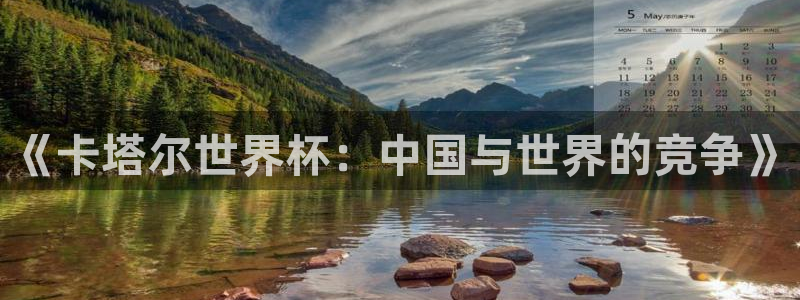 袋鼠nba体育比赛免费