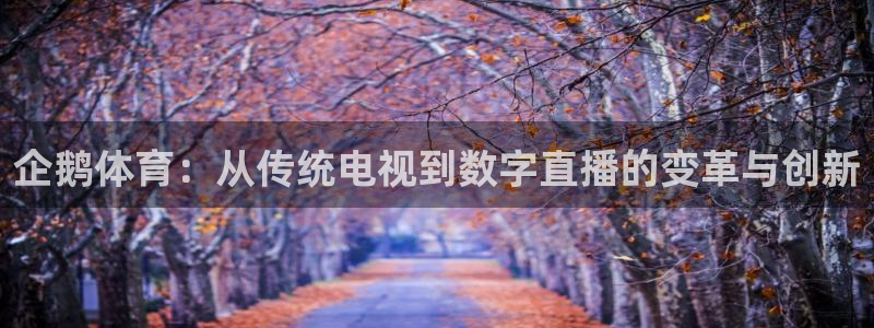 袋鼠体育直播官网：企鹅体育：从传统电视到数字直播的变革与创新