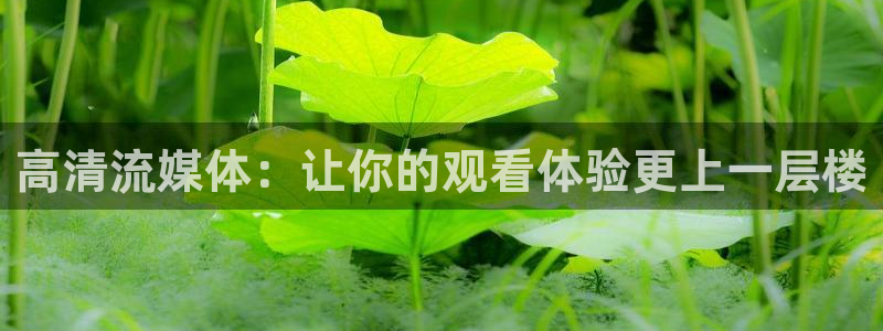 袋鼠直播体育在线：高清流媒体：让你的观看体验更上一层楼